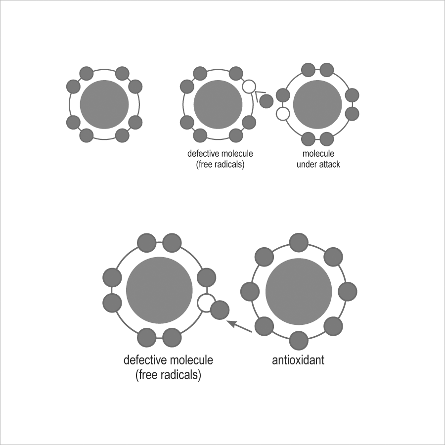 Zeolith Pulver ultrafein mit PMA - Aktivierung CE Medizinprodukt