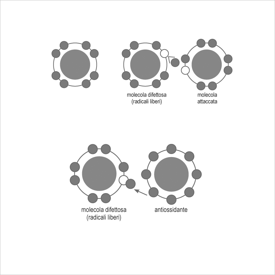 Zeolith Pulver ultrafein mit PMA - Aktivierung CE Medizinprodukt